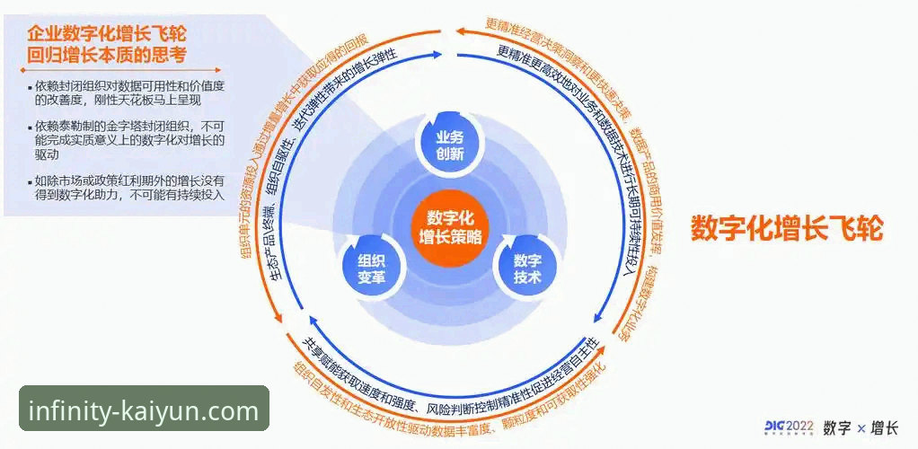 开云官方网站密码找回 揭秘开云全站平台密码找回背后的安全逻辑与用户真相